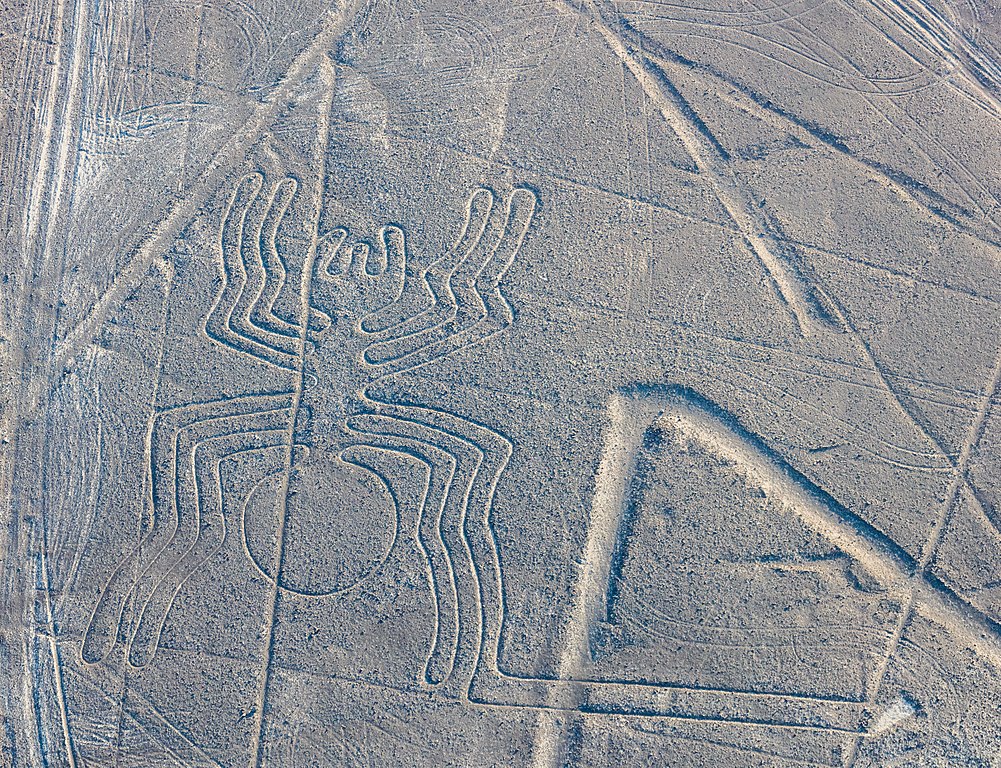 Líneas_de_Nazca_Nazca_Perú_2015-07-29_DD_54 Piktogramy w zbożu - o czym próbują poinformować nas kosmici?