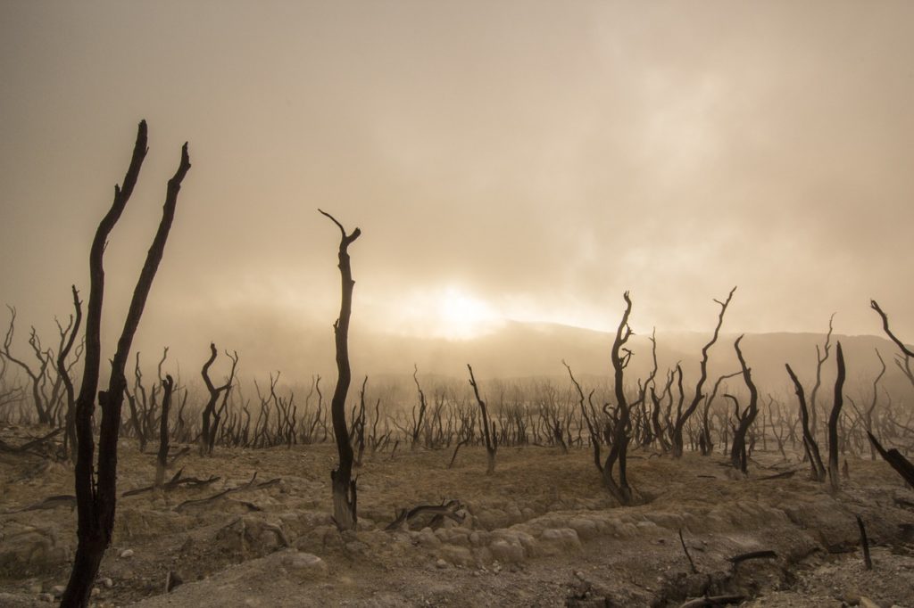 Ocieplanie klimatu – przyczyny, skutki i teorie