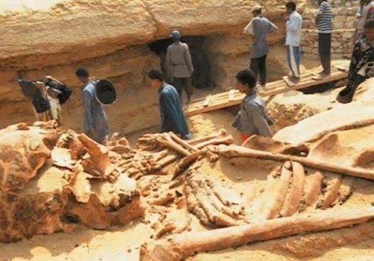 szczątki gigantów z czasów przedpotopowych